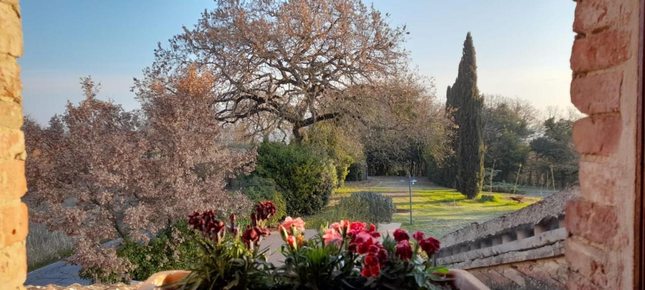Il Casale Di Sandra Κιούζι Εξωτερικό φωτογραφία